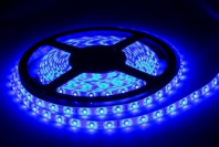 Лента светодиодная Синяя 5 метров (300 SMD 3528 11W белая осн.) 12v